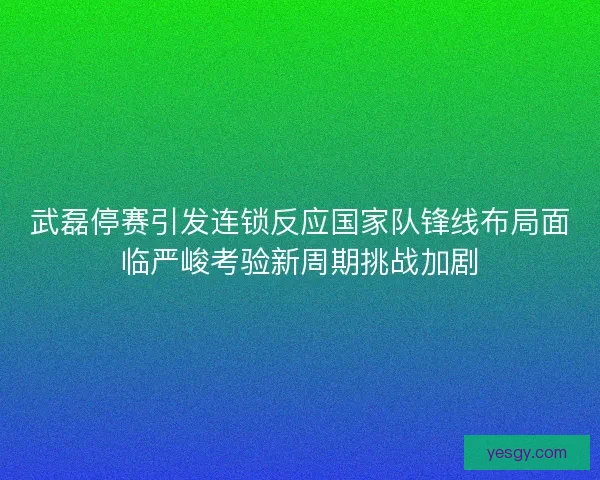 武磊停赛引发连锁反应国家队锋线布局面临严峻考验新周期挑战加剧