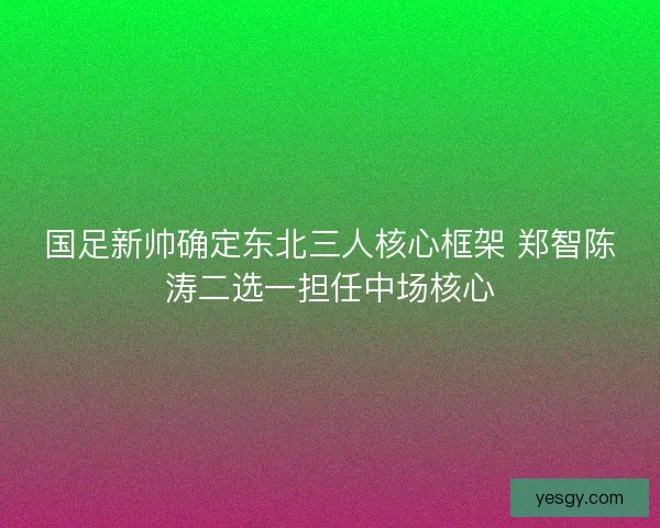 国足新帅确定东北三人核心框架 郑智陈涛二选一担任中场核心