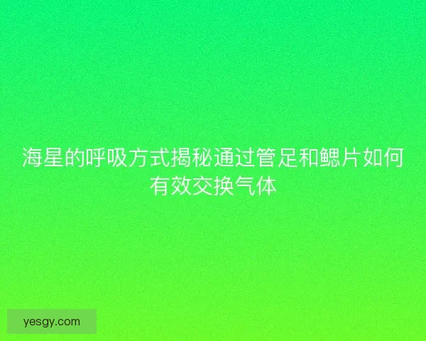 海星的呼吸方式揭秘通过管足和鳃片如何有效交换气体