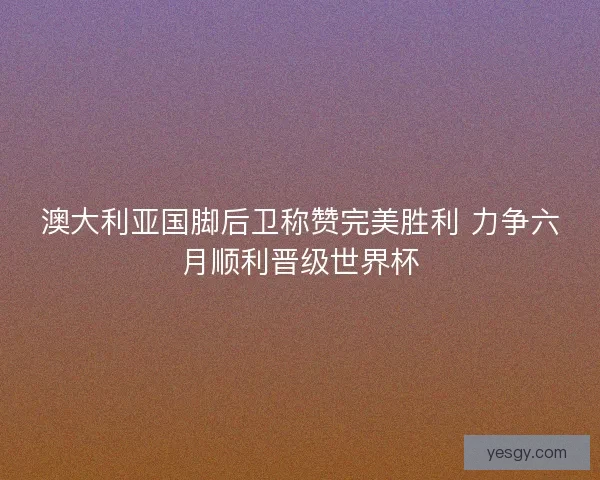 澳大利亚国脚后卫称赞完美胜利 力争六月顺利晋级世界杯